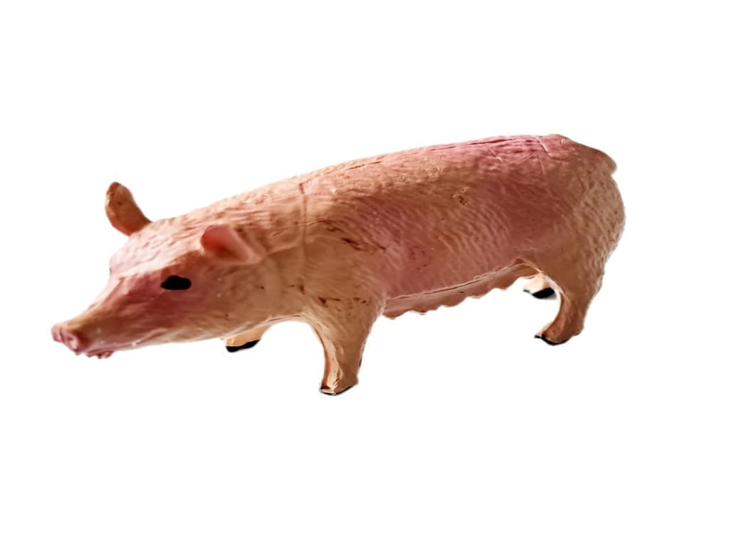 🐷 NAJPREJ ŠTALCA, NATO PA KRAVCA – v zbirki je že tretja žival: pujs!