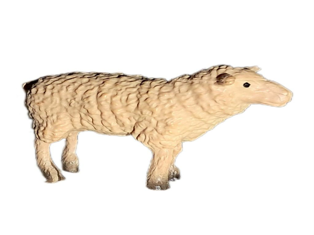 OVČKA JE PRISPELA NA DEJAN’S GAMING KMETIJO 🐑